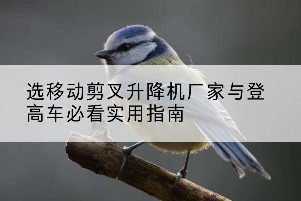 新星电动升降机厂家-选移动剪叉升降机厂家与登高车必看实用指南