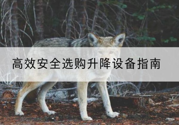 新星升降货梯厂家推荐-*安全选购升降设备指南